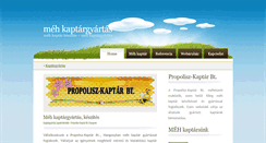 Desktop Screenshot of kaptargyartas.hu
